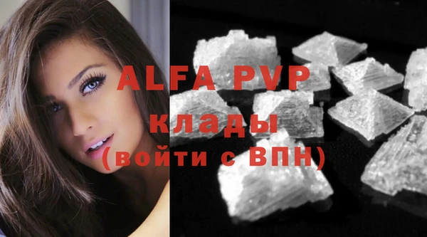 прущая мука Инта