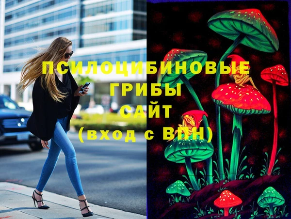 тгк Зеленодольск